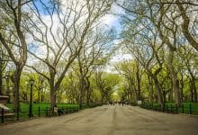 เซ็นทรัลพาร์ค Central Park