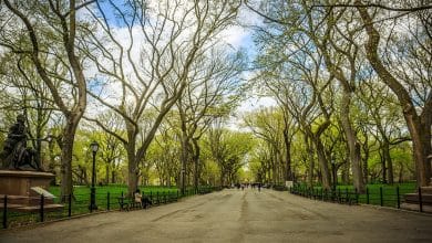 เซ็นทรัลพาร์ค Central Park