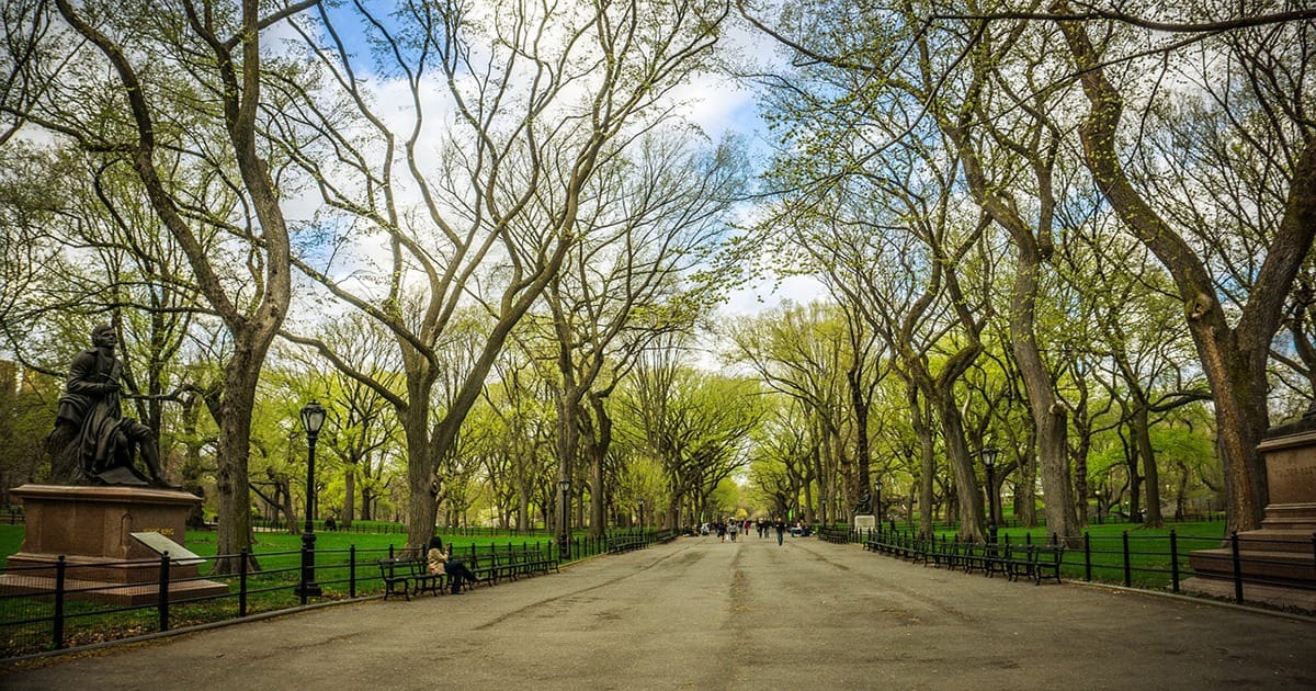 เซ็นทรัลพาร์ค Central Park