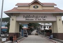 เกาะเต่าฉาว