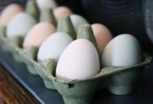 Egg