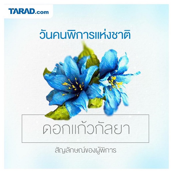 ดอกไม้คนพิการ #2 ดอกไม้คนพิการ