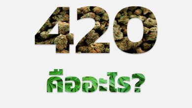 420 คือ