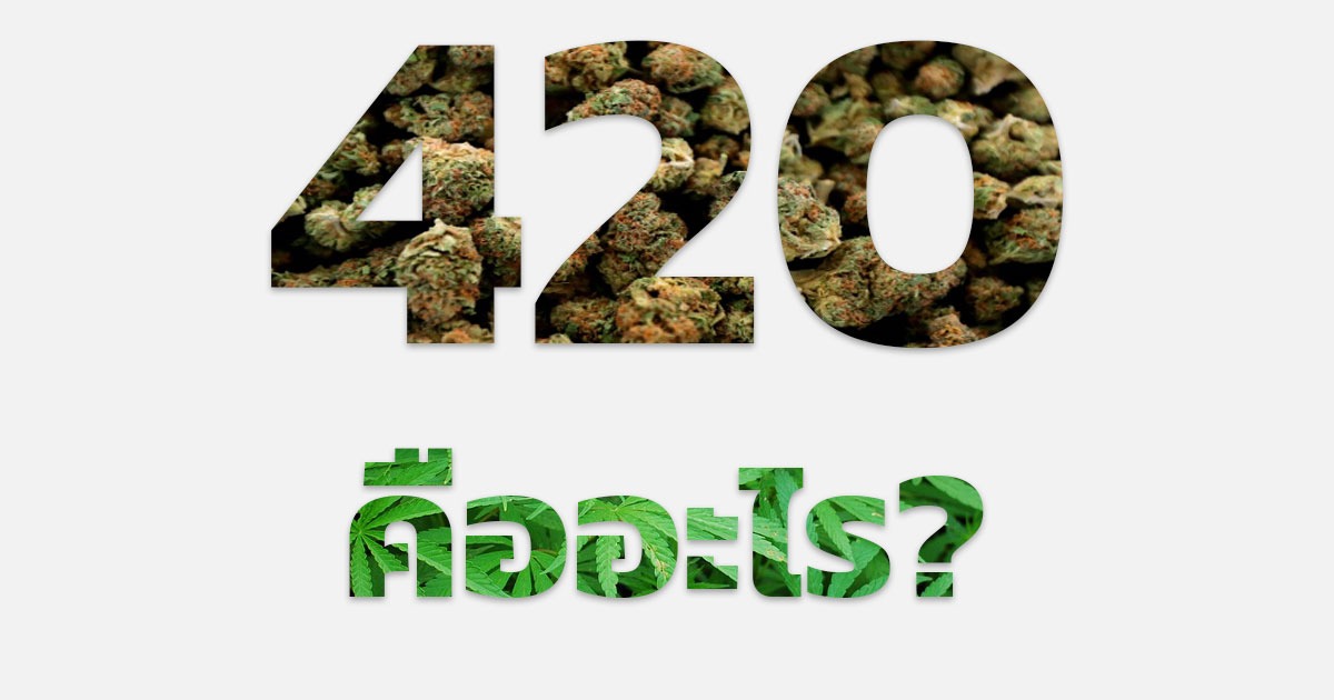 420 คือ