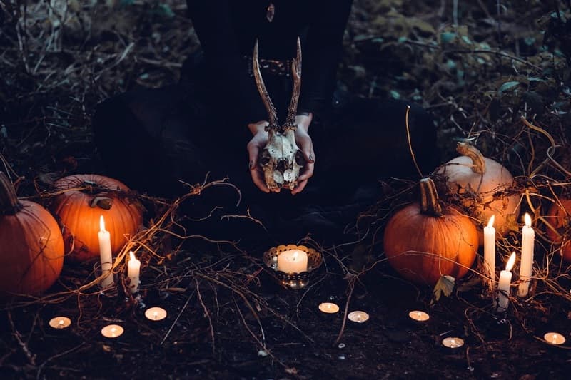 ฮาโลวีน Halloween #2 ฮาโลวีน Halloween