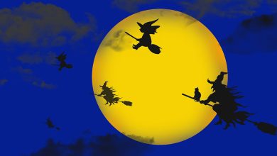 ฮาโลวีน Halloween