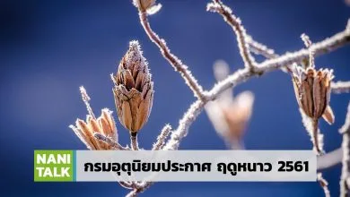 ฤดูหนาว 2561