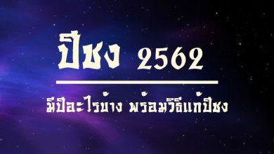 ปีชง 2567 ปีมะเส็ง