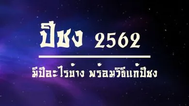 ปีชง 2562 ปีมะเส็ง