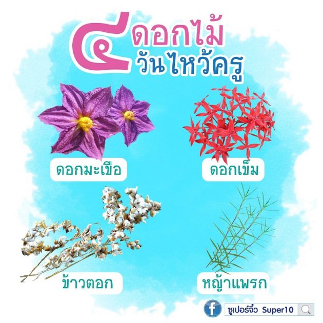 ดอกไม้วันไหว้ครู #4 ดอกไม้วันไหว้ครู