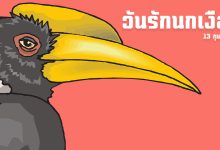 นกเงือก วันรักนกเงือก