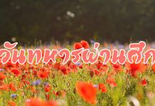 วันทหารผ่านศึก