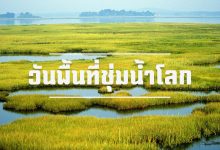 วันพื้นที่ชุ่มน้ำโลก