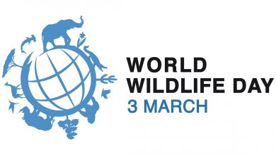 Photo of 3 չҤ ѹѵоתš World Wildlife Day