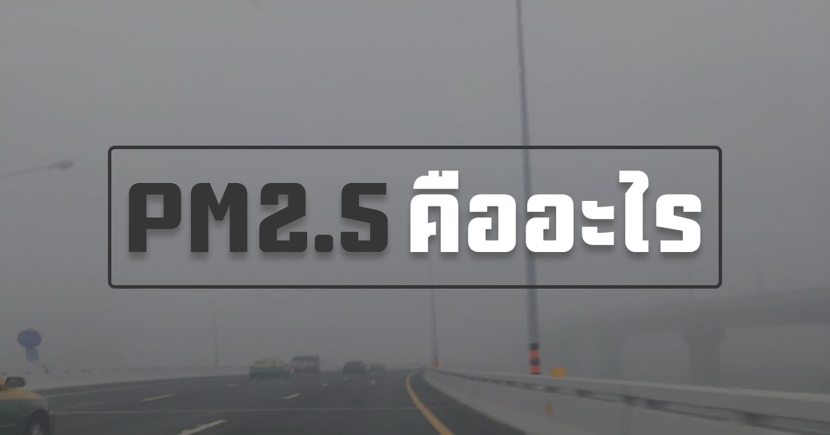 PM 2.5 คืออะไร