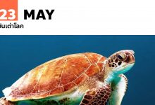 วันเต่าโลก 23 พฤษภาคม World Turtle Day