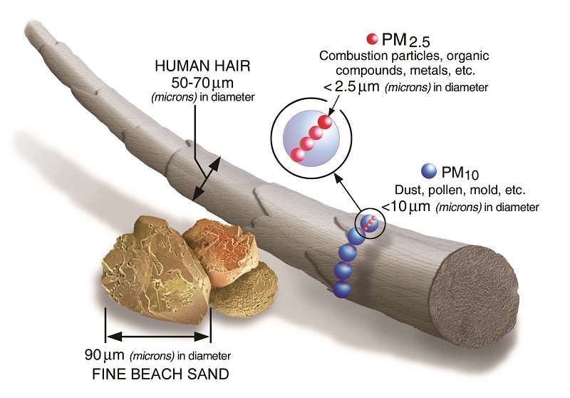 PM 2.5 คืออะไร