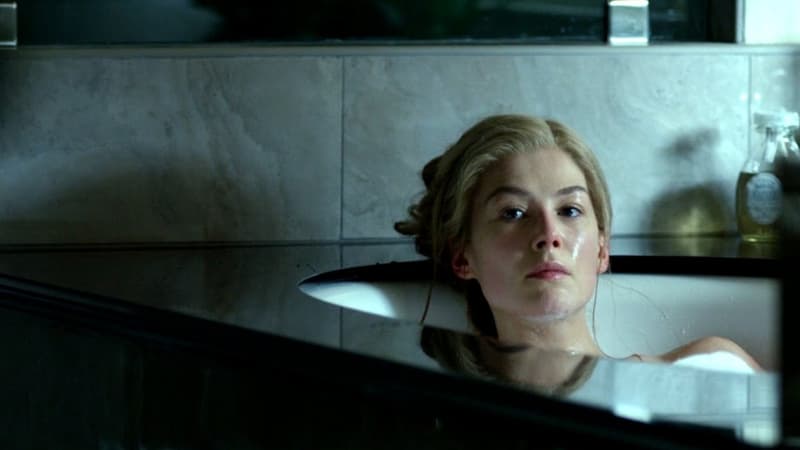 หนังล้างแค้น แก้แค้น เรื่อง Gone Girl