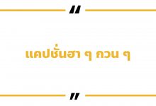 แคปชั่นฮา ๆ กวน ๆ