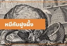 นิทานอีสป : หมีกับฝูงผึ้ง (The Bear & the Bees)