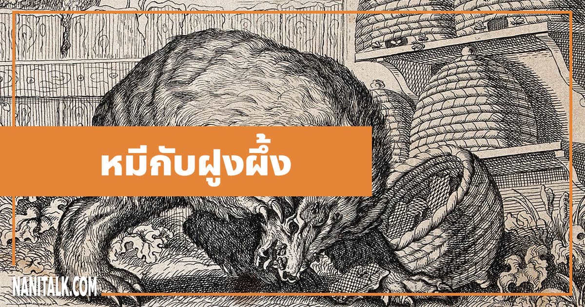 นิทานอีสป : หมีกับฝูงผึ้ง (The Bear & the Bees)