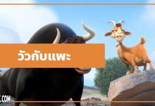 นิทานอีสป : วัวกับแพะ (The Bull & the Goat)