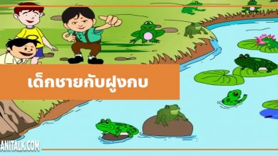 นิทานอีสป : เด็กชายกับฝูงกบ (The Boys & the Frogs)