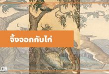 นิทานอีสป : จิ้งจอกกับไก่ (The Cock & the Fox)