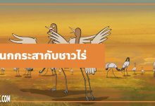 นิทานอีสป : นกกระสากับชาวไร่ (The Farmer & the Stork)