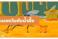 นิทานอีสป : แมลงวันกับโถน้ำผึ้ง (The Flies & the Honey)