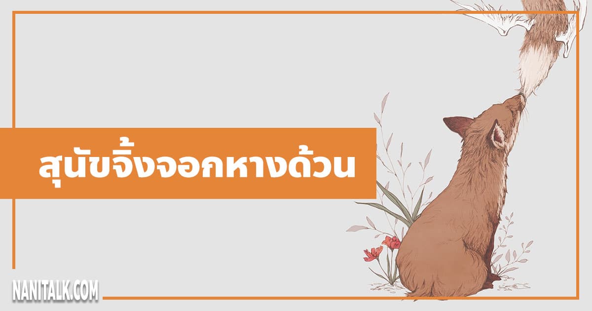 นิทานอีสป : สุนัขจิ้งจอกหางด้วน (The Fox Without a Tail)