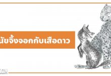 นิทานอีสป : สุนัขจิ้งจอกกับเสือดาว (The Fox & the Leopard)