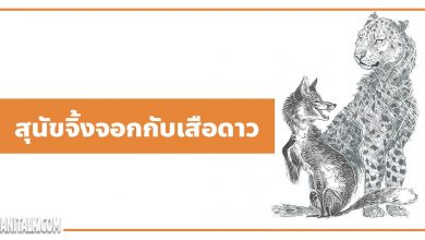 นิทานอีสป : สุนัขจิ้งจอกกับเสือดาว (The Fox & the Leopard)