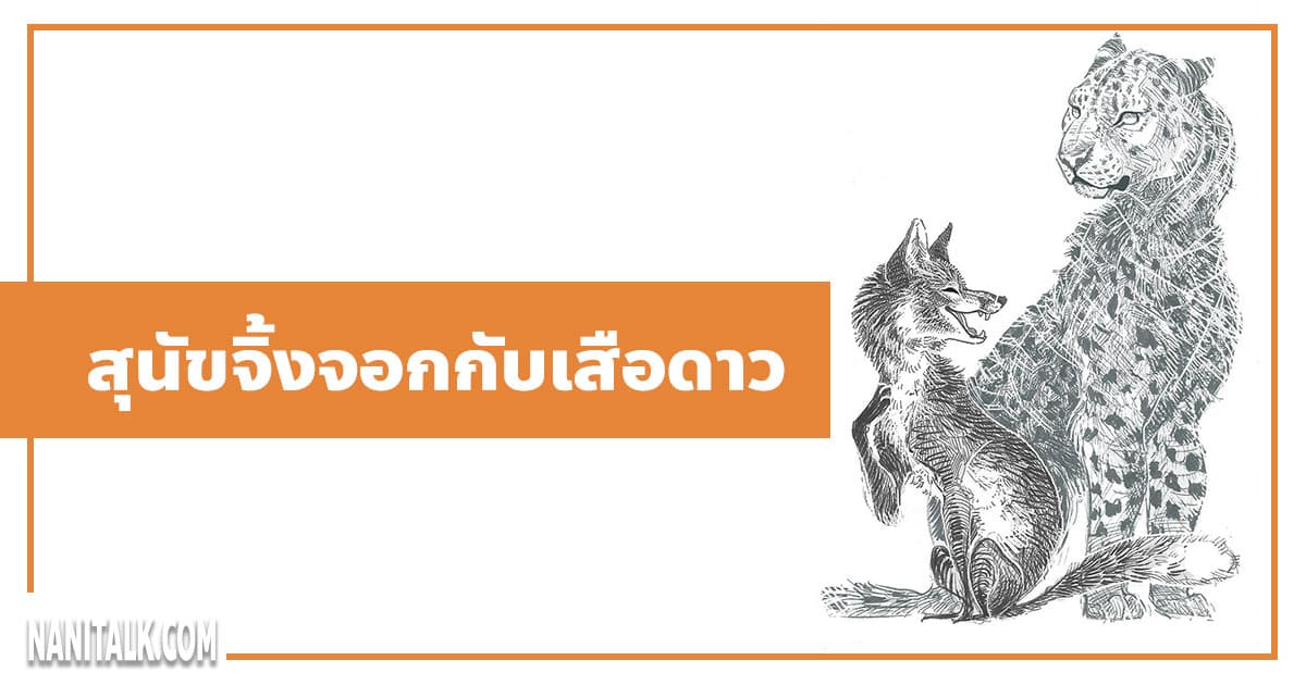 นิทานอีสป : สุนัขจิ้งจอกกับเสือดาว (The Fox & the Leopard)