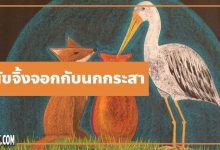 นิทานอีสป : สุนัขจิ้งจอกกับนกกระสา (The Fox & the Stork)