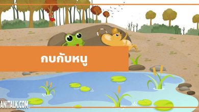 นิทานอีสป : กบกับหนู (The Frog & the Mouse)