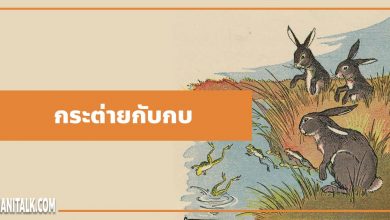 นิทานอีสป : กระต่ายกับกบ (The Hares & the Frogs)