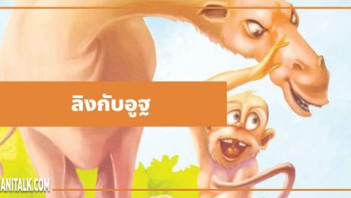 นิทานอีสป : ลิงกับอูฐ (The Monkey & the Camel)