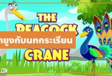 นิทานอีสป : นกยูงกับนกกระเรียน (The Peacock & the Crane)