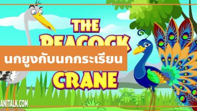 นิทานอีสป : นกยูงกับนกกระเรียน (The Peacock & the Crane)