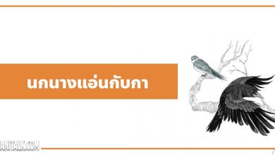 นิทานอีสป : นกนางแอ่นกับกา (The Swallow & the Crow)