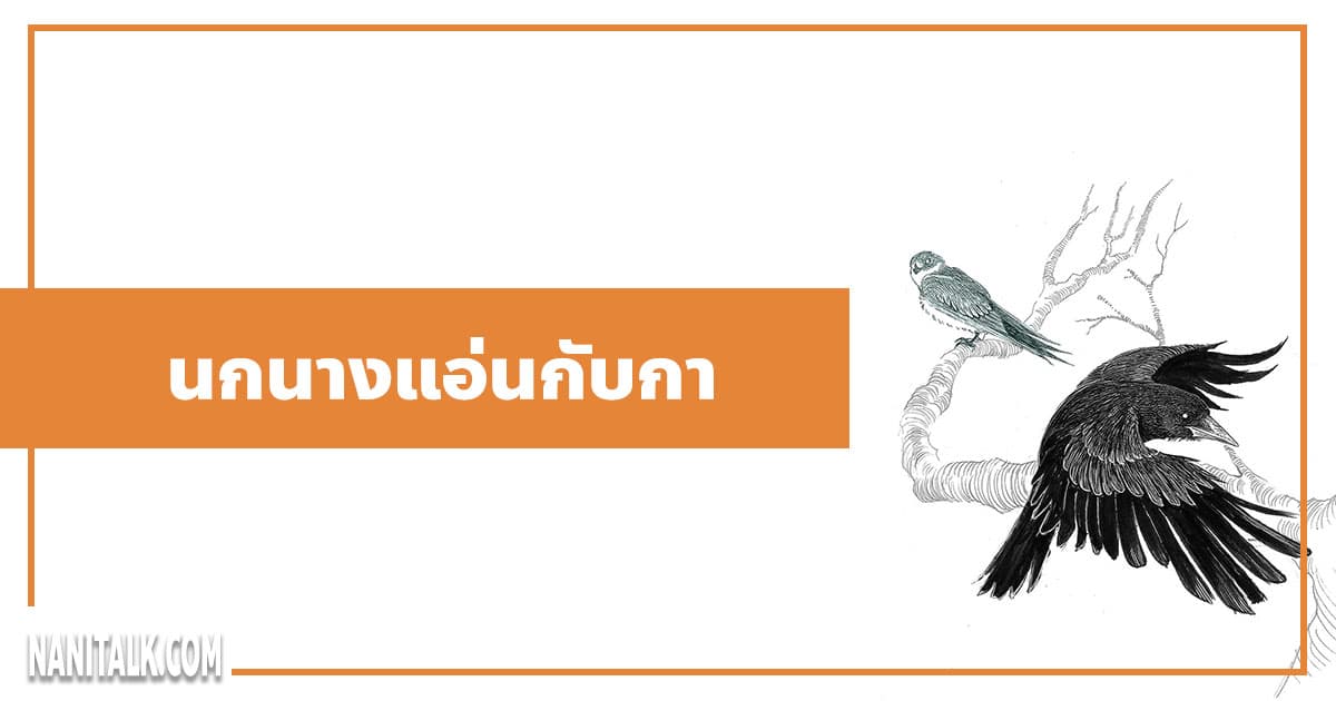 นิทานอีสป : นกนางแอ่นกับกา (The Swallow & the Crow)