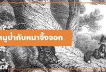 นิทานอีสป : หมูป่ากับหมาจิ้งจอก (The Wild Boar & the Fox)