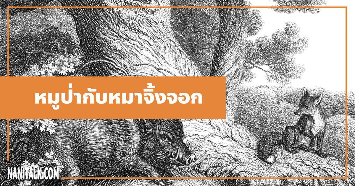 นิทานอีสป : หมูป่ากับหมาจิ้งจอก (The Wild Boar & the Fox)