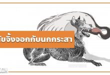 นิทานอีสป : สุนัขจิ้งจอกกับนกกระสา (The Wolf & the Crane)