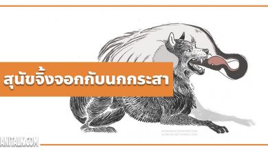 นิทานอีสป : สุนัขจิ้งจอกกับนกกระสา (The Wolf & the Crane)