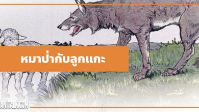 นิทานอีสป : หมาป่ากับลูกแกะ (The Wolf & the Lamb)