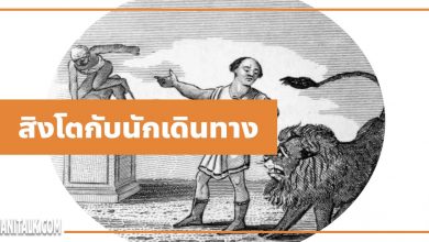 นิทานอีสป : สิงโตกับนักเดินทาง (The Man & the Lion)