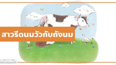 นิทานอีสป : สาวรีดนมวัวกับถังนม (The Milkmaid & Her Pail)