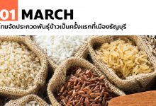 1 มีนาคม ไทยจัดประกวดพันธุ์ข้าวเป็นครั้งแรกที่เมืองธัญบุรี